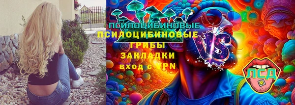 ешки Протвино